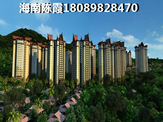 海南省购房XG令一