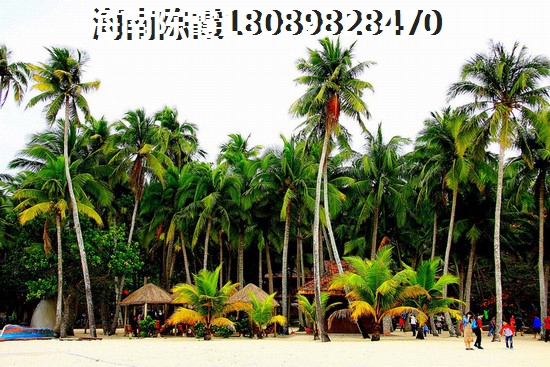 海南房产价格多少钱一平