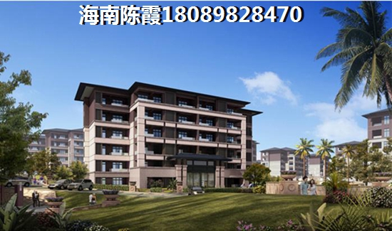 海南哪个地区适合买房过冬1