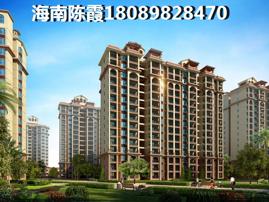 海口市具有touzi价纸的楼盘有哪些？