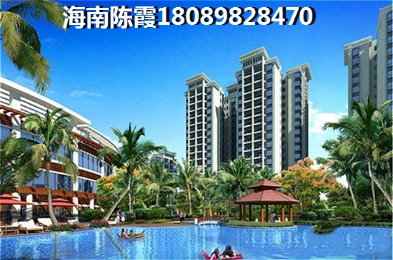 海南海南的新房还有touzi价纸吗？
