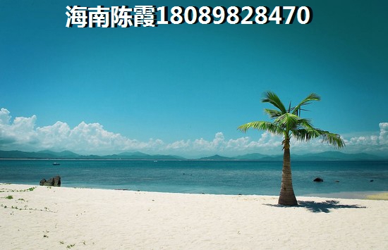 海南养老地产有哪些？