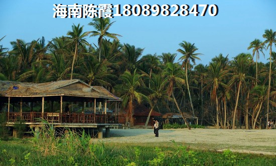 2022台湾人在海南买房