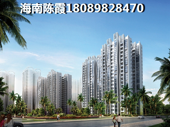 海南房子能touzi吗？