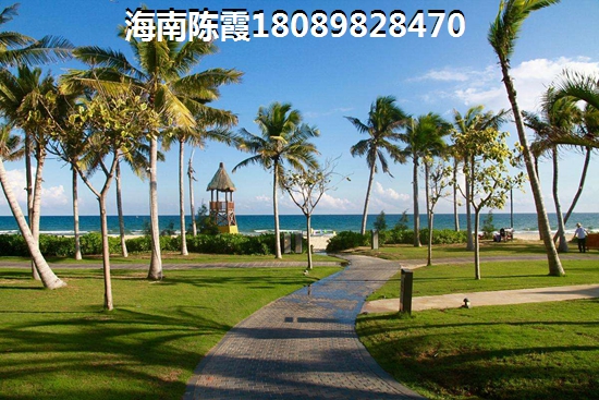 为什么这么多人抢着买海南楼盘？