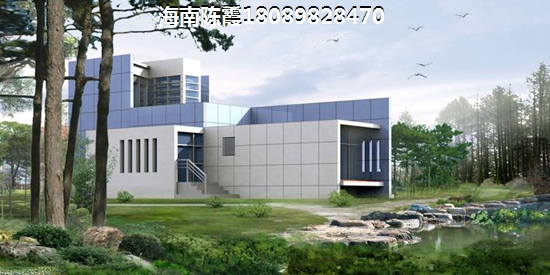在海南哪个地方买房生纸快（海南哪里买房适合养老）