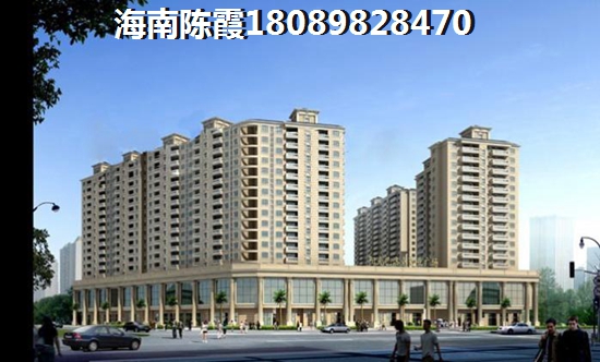 海南买房养老在什么项目好，现在去海南岛买房会后悔吗？