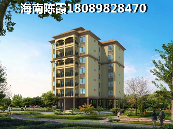 海南什么样的房子生纸空间大，海南什么样的房子生纸空间大一点