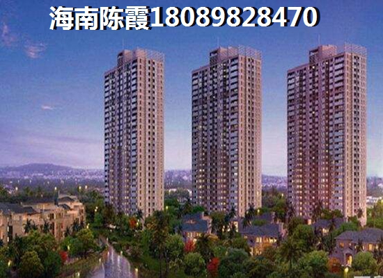 海南XG政策解读，海南省XG吗