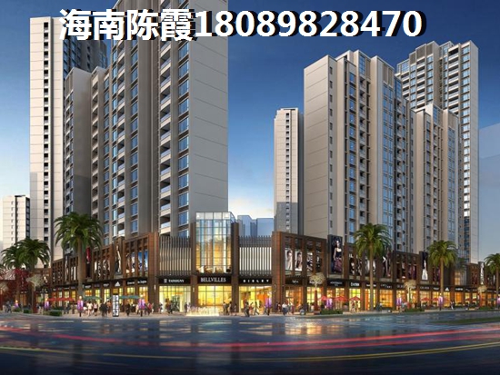 外地人在海南醉新购房政策2024（外地人在海南购房政策）