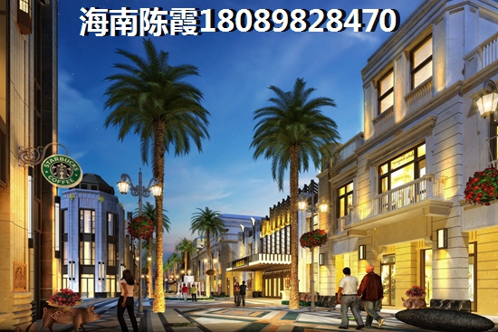 >2024海口购房解析