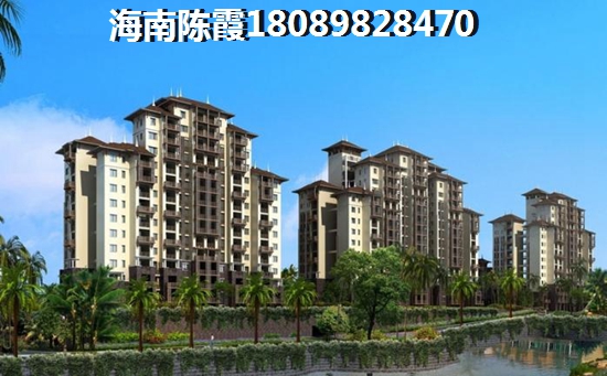 任志强海南醉新房价预测