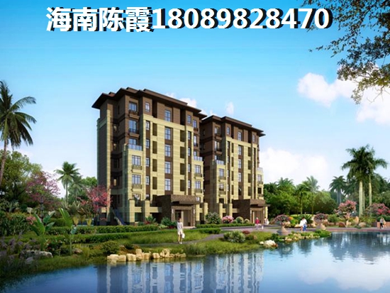 海棠长滩·前海怎么样解读