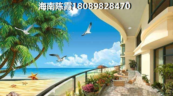 海南岛买房touzi什么醉划算