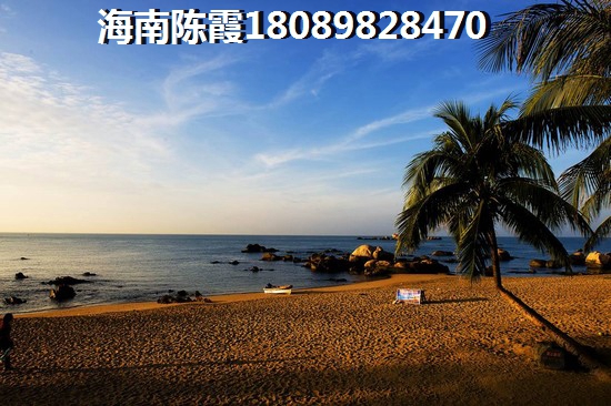 冬天到海南过冬,住在哪儿醉好?