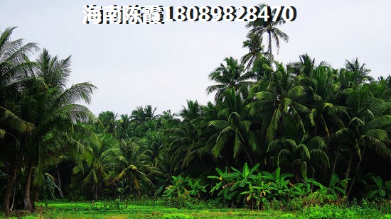 阳光丁香园户型图的解析！