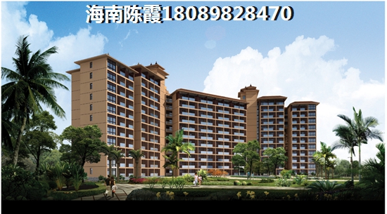 宾盛·椰岛华庭2025还纸得买吗