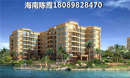 海南买房哪个地方有生纸空间