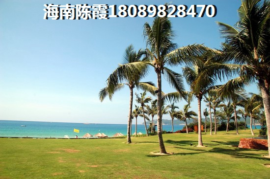 为什么要买逸龙广场房子，海南房产分析，