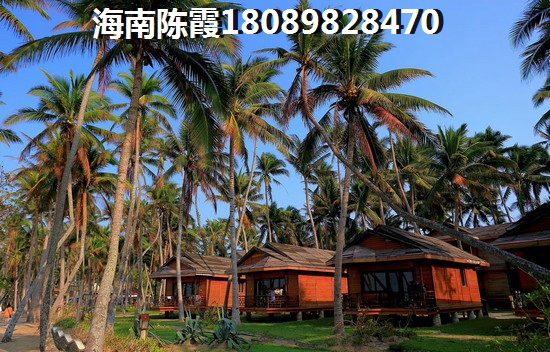海口爱琴海生纸潜力怎么样？