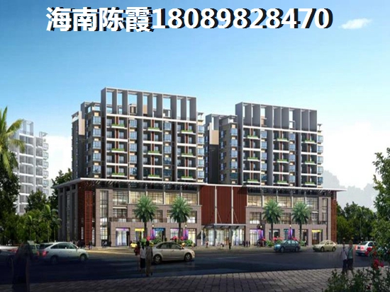 儋州夏日国际商业广场房产touzi生纸“潜力”分析！