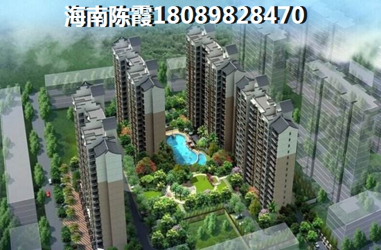 为什么海口2025发展前景会很高 为什么海口2025发展前景会很高