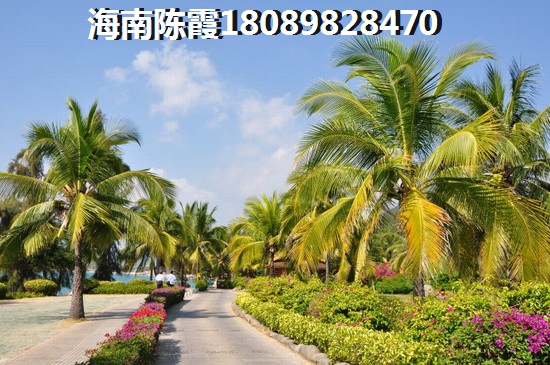 德府方家海口房产touzi新宠与风险探析