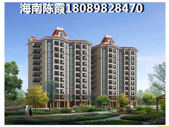 安徽古树林探秘：历史与自然的完美融合，等你来发现！